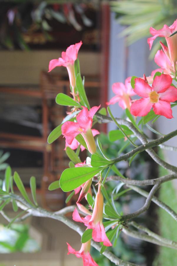 Secret Garden Sky Ξενοδοχείο Ουμπούντ Εξωτερικό φωτογραφία